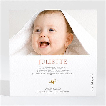 Remerciement naissance licornes - Dos de la carte