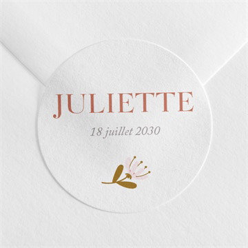 Sticker naissance licornes