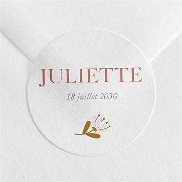 Sticker naissance licornes