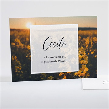 Carte recto-verso - paysage 