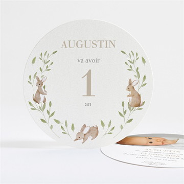 Invitation anniversaire les p'tits lapins