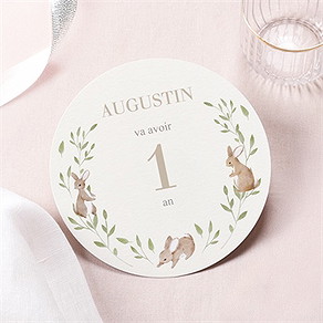 Invitation anniversaire les p'tits lapins