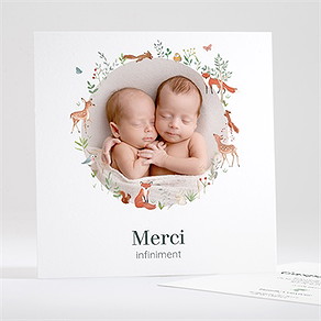 Remerciement naissance jumeaux & animaux