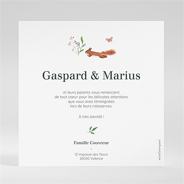 Remerciement naissance jumeaux & animaux - Dos de la carte