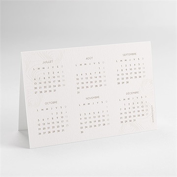 Carte de voeux dentiste calendrier - dos de la carte