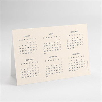 Carte de voeux année en couleur calendrier - dos de la carte