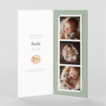 Faire-part naissance dragon - Intérieur du faire-part