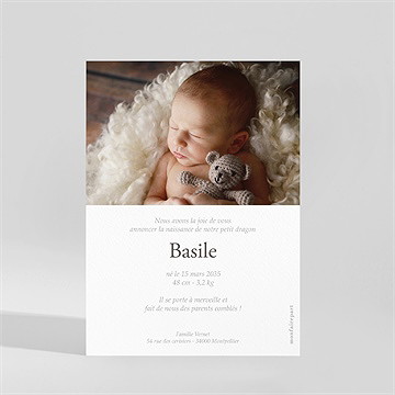 Faire-part naissance dragon portrait - Dos de la carte