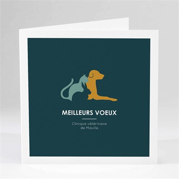 Veterinaire