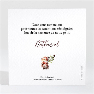 Remerciement naissance hiver - Dos de la carte