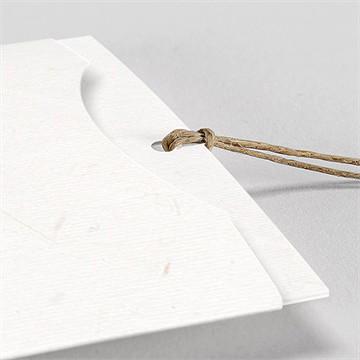 Faire-part mariage pampa pochette duo - Détail du faire-part