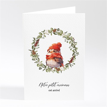 Faire-part naissance oiseau d'hiver