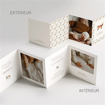 Faire-part de baptême renard en forêt accordéon - Vue d'ensemble