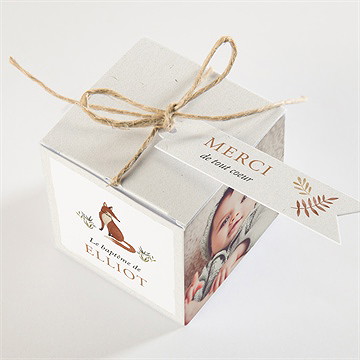 Boîte de dragées baptême le renard - Dessus de la boîte