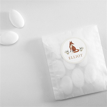 Sticker baptême le renard - Mise en situation