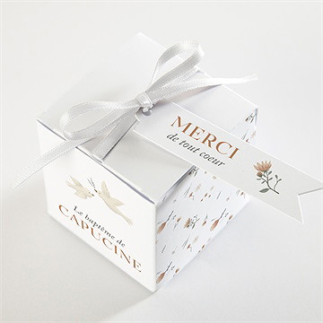 Boîte de dragées baptême douces colombes - Dessus de la boîte