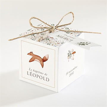 Boîte de dragées baptême renard en forêt