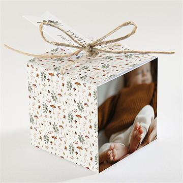 Boîte de dragées baptême renard en forêt - Dos de la boîte