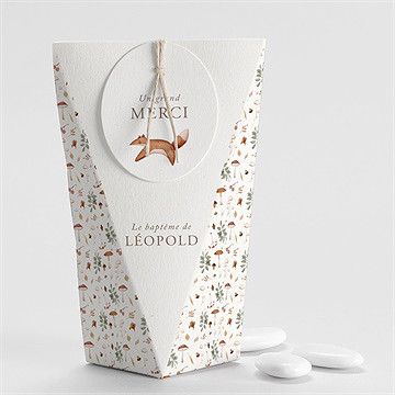 Boîte de dragées baptême renard en forêt étui