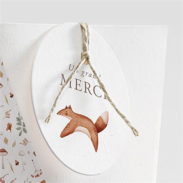 Boîte de dragées baptême renard en forêt étui - Détail de la boîte