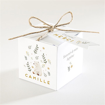 Boîte de dragées baptême nounours