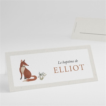 Marque-place baptême le renard