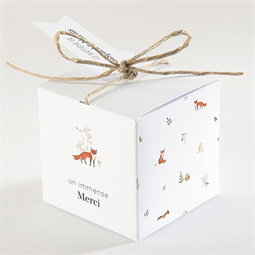 Boîte de dragées baptême forêt - Dos de la boîte