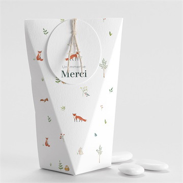 Boîte à dragées - Étui