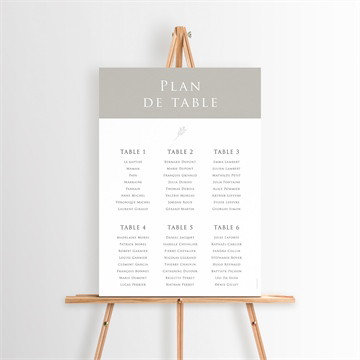 Plan de table baptême petits jumeaux dorure