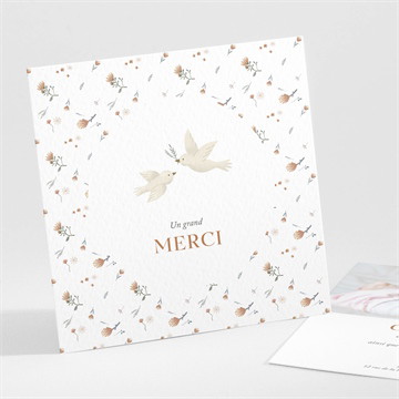 Remerciement baptême douces colombes