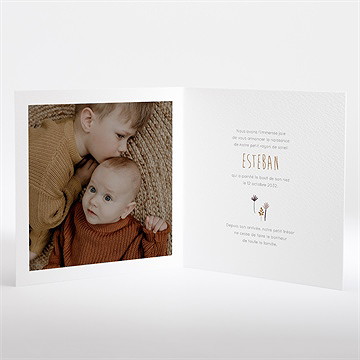 Faire-part naissance dinosaures - Intérieur du faire-part