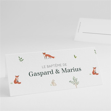 Marque-place baptême forêt étui
