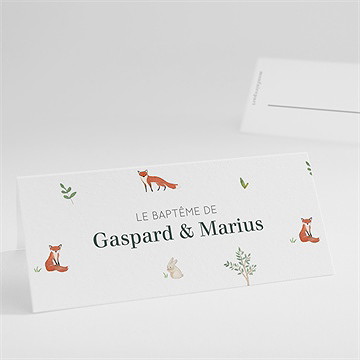 Marque-place baptême forêt
