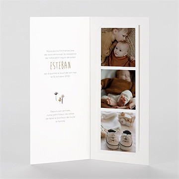 Faire-part naissance dinosaures photomaton - Intérieur du faire-part