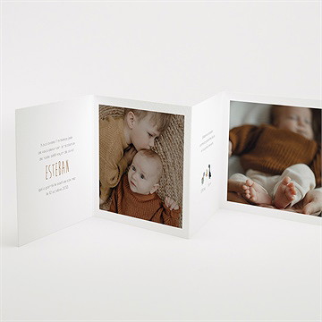 Faire-part naissance dinosaures triptyque - Intérieur du faire-part