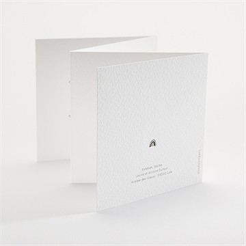 Faire-part naissance dinosaures triptyque - Dos du faire-part