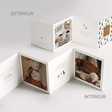 Faire-part naissance dinosaures triptyque - Vue d'ensemble