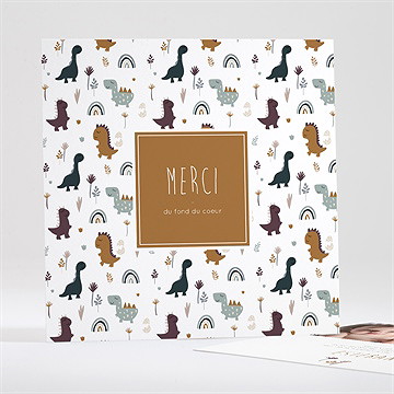 Remerciement naissance dinosaures