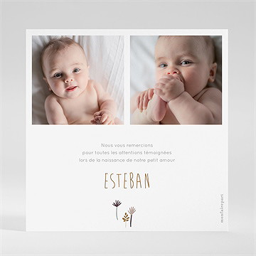 Remerciement naissance dinosaures - Dos de la carte