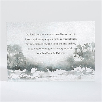 Remerciement décès paysage enneigé - Dos du carton