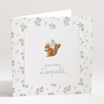 Faire-part naissance écureuil