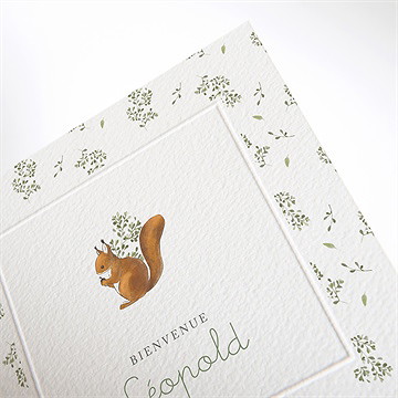 Faire-part naissance écureuil - Détail du faire-part