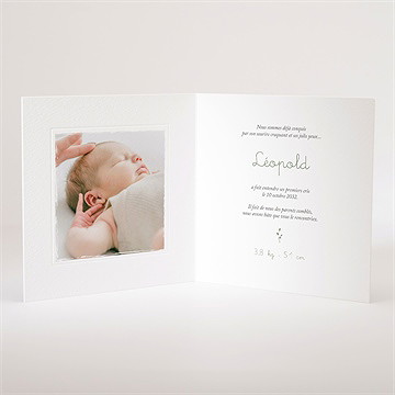 Faire-part naissance écureuil - Intérieur du faire-part