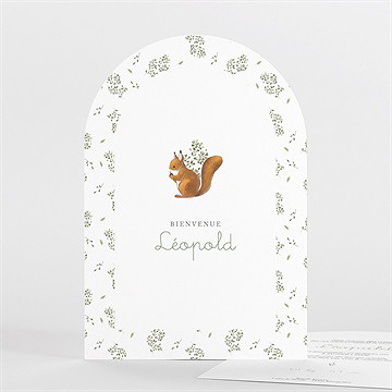 Faire-part naissance écureuil arche