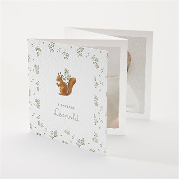 Faire-part naissance écureuil accordéon
