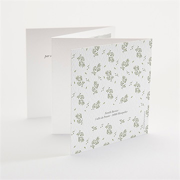 Faire-part naissance écureuil accordéon - Dos du faire-part