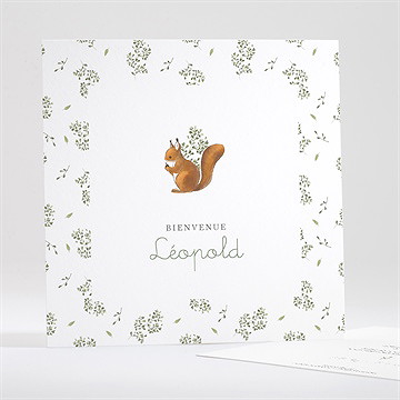 Faire-part naissance écureuil carré