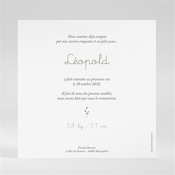 Faire-part naissance écureuil carré - Dos du faire-part