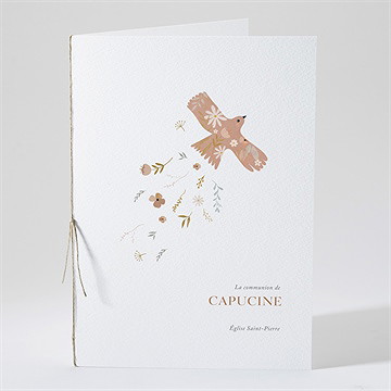 Livret de messe communion belle colombe