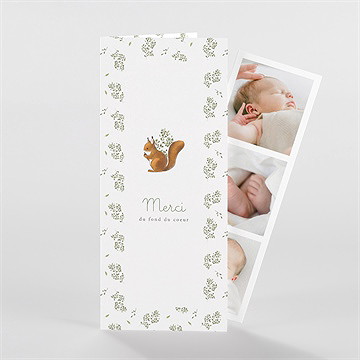 Remerciement naissance écureuil